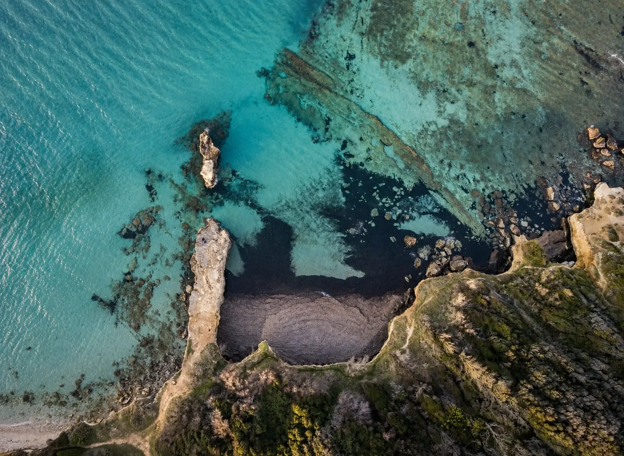 mare drone